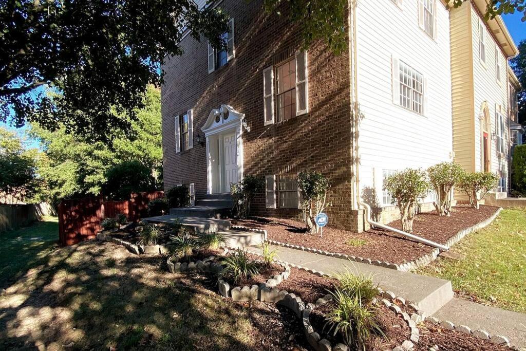Modern Comfort Homestay Alexandria
