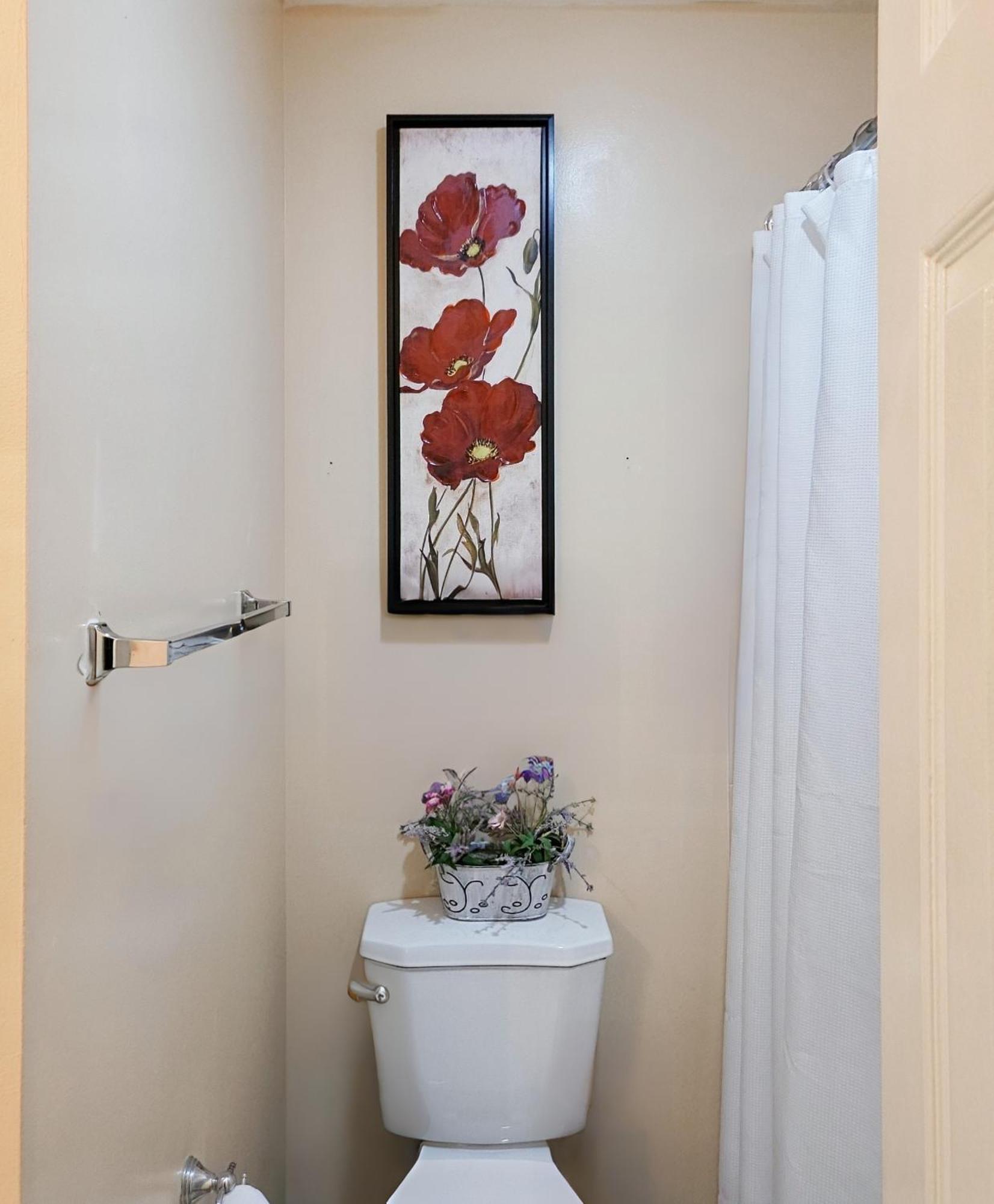 Modern Comfort Alexandría